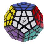 QJ 12-Color Megaminx Magic Cube Stickered Black