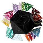 AJ Clover Icosahedron Cube Puzzle Black Body with 20-color Stickers