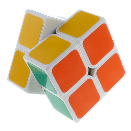 Shengshou  2x2 Magic Cube for Primer Kid Gift frosted Sticker White