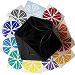 AJ Clover Icosahedron Cube Puzzle Black Body with 12-color Stickers