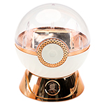 DianSheng Cube Display Box Capsule Version