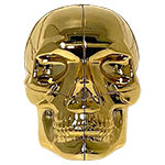 DianSheng & Calvins Skeletor Gold-plated