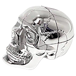 DianSheng & Calvins Skeletor Cranium Silver-plated