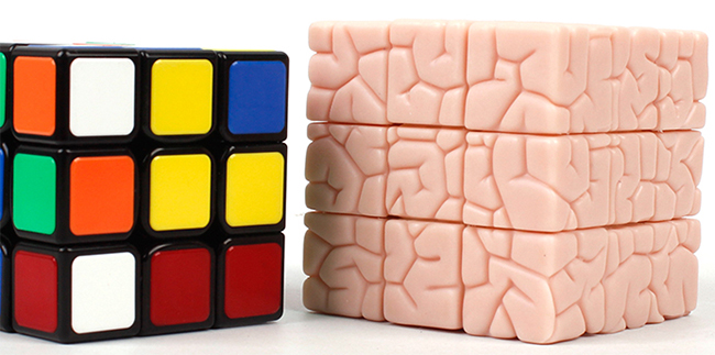 The Brain Cube