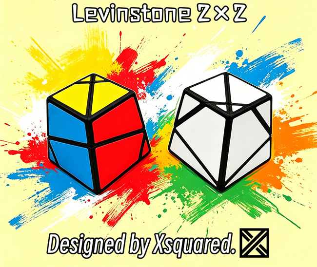 ZEPUZZLES Levinstone 2x2 Cube Black with 6-color Tiled